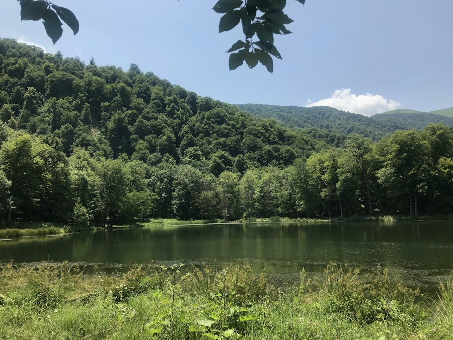 دریاچه‌ای میان جنگل در کوهستان ارمنستان