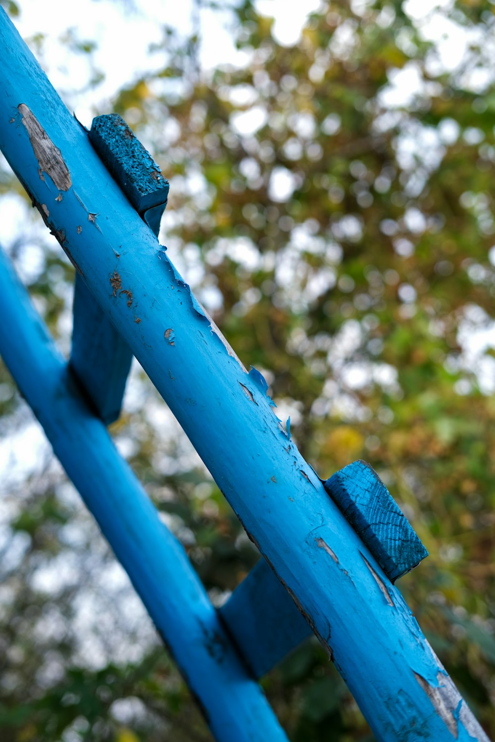 blue wooden ladder