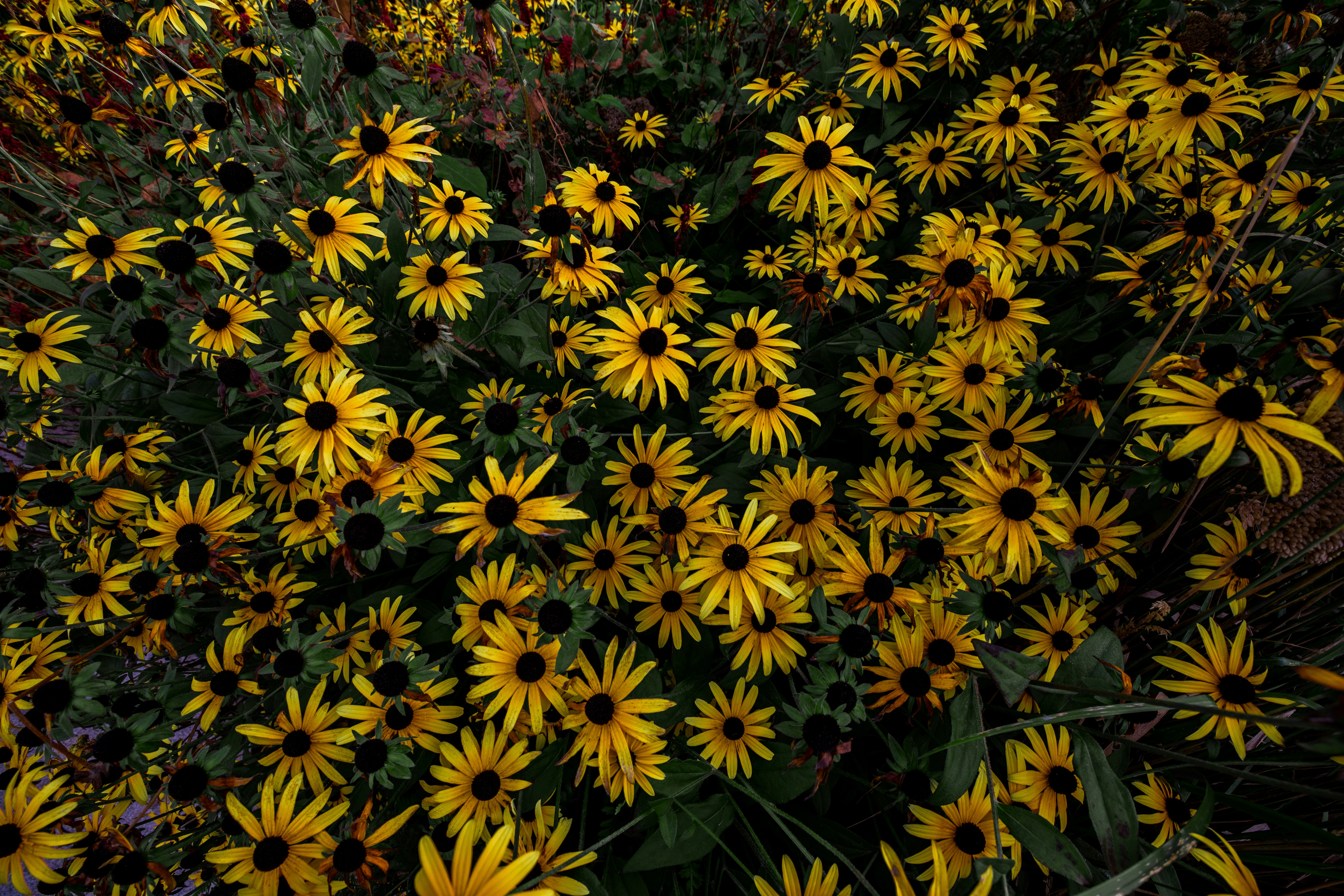 Photo by blackprojection