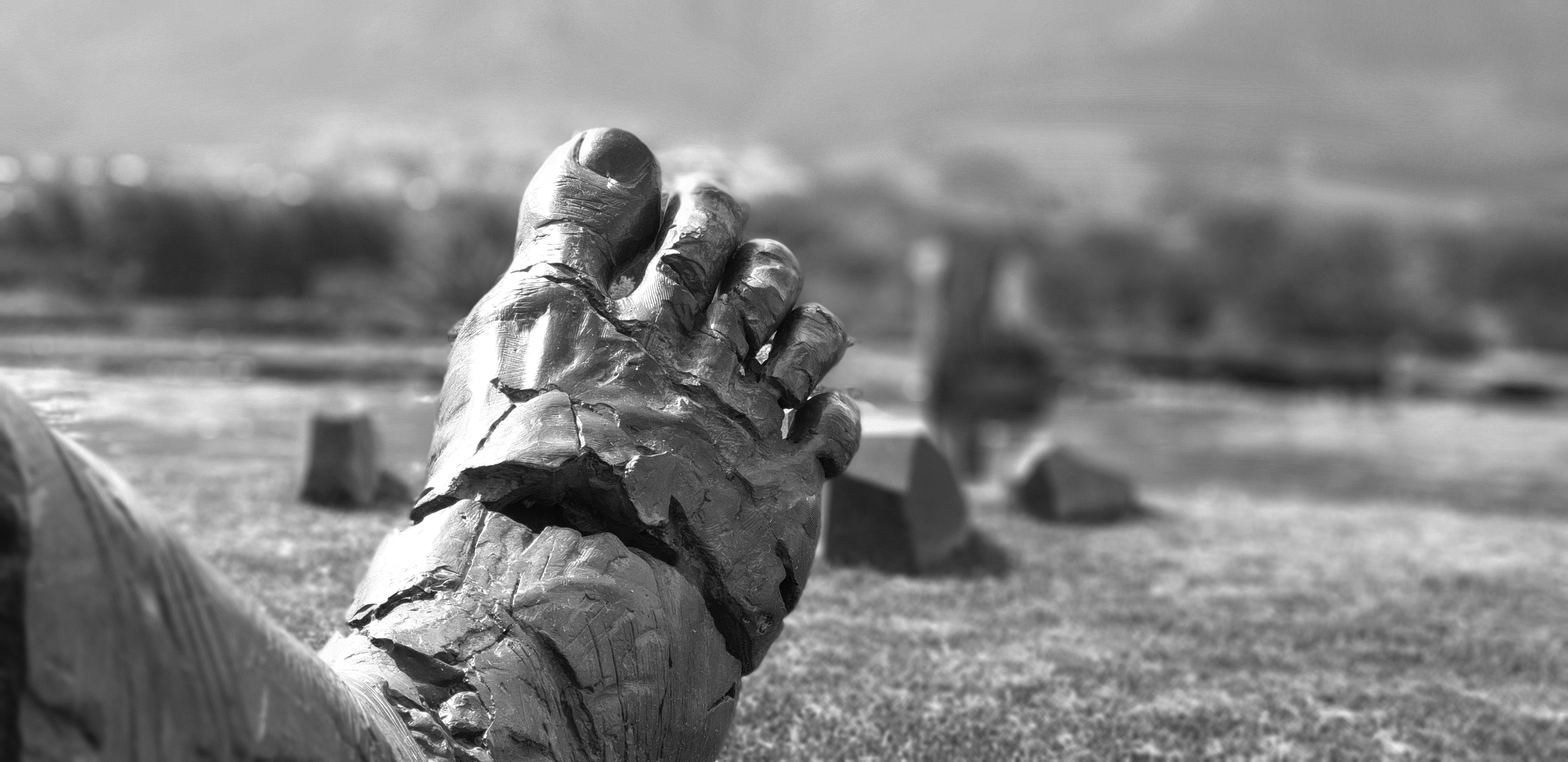 a hand that is sticking out of a fence