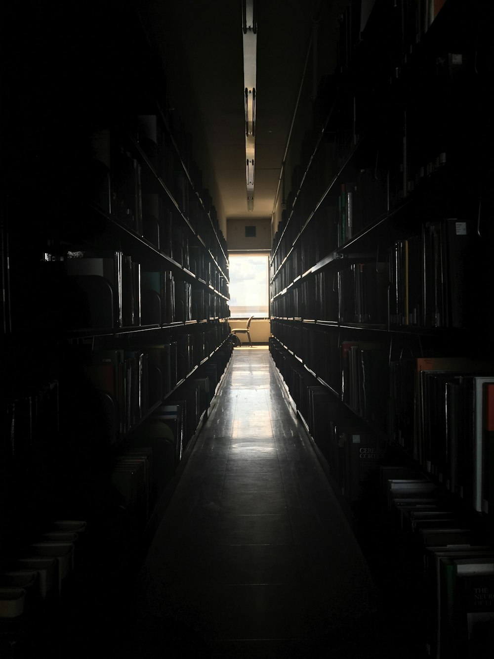 pathway between shelves with books