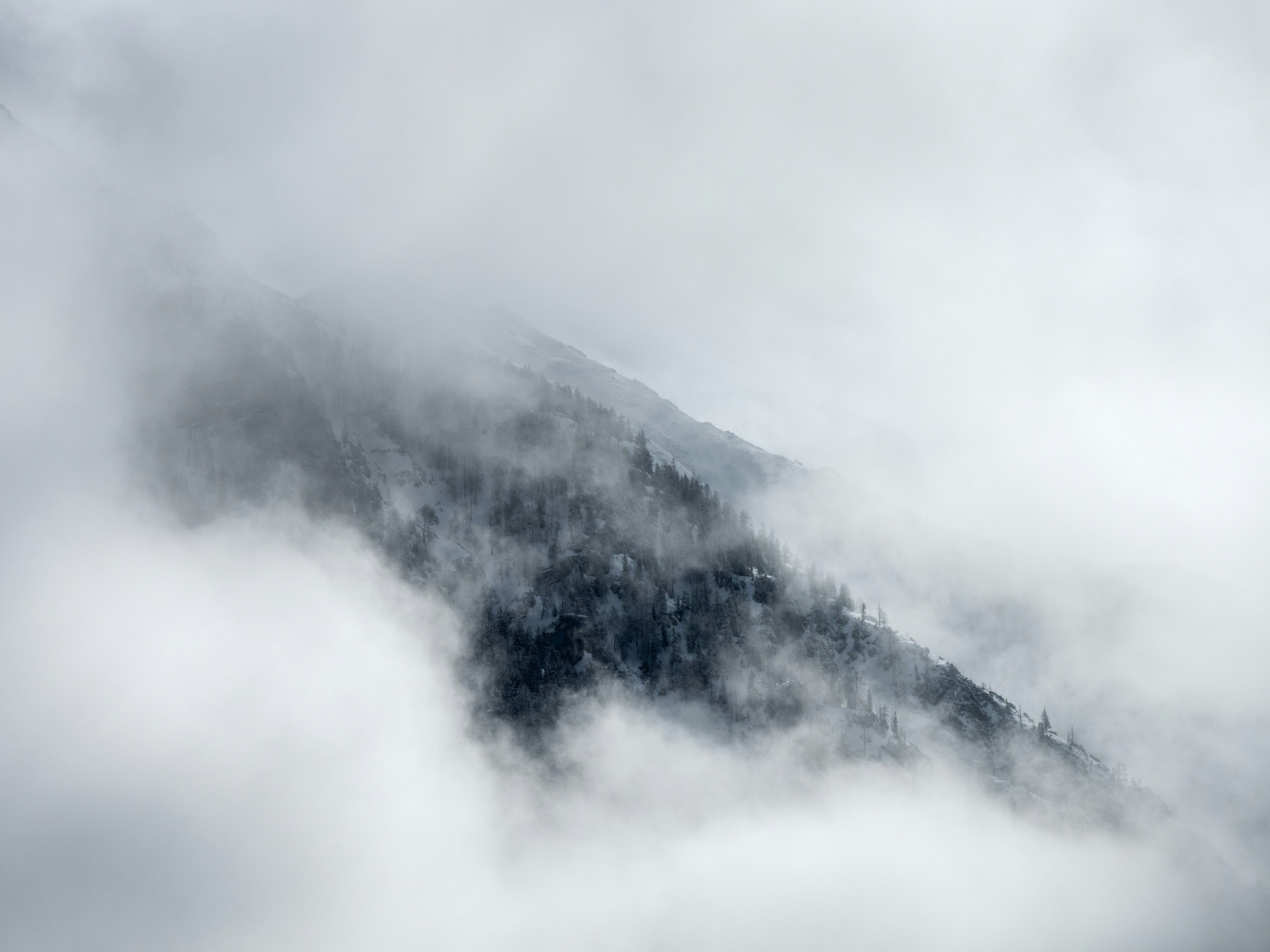 Photo by kaltenberg_mike