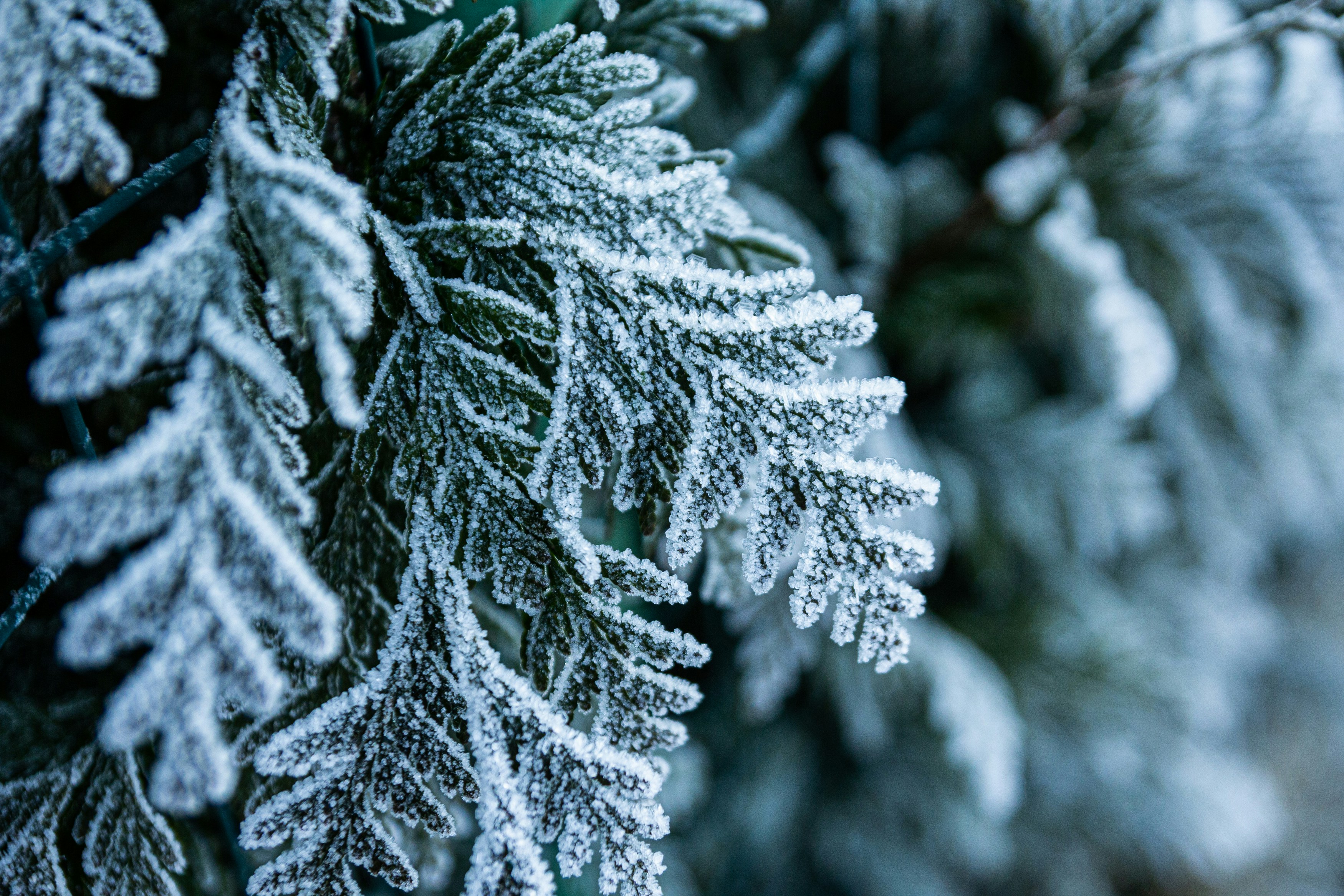 Photo by juliazolotova