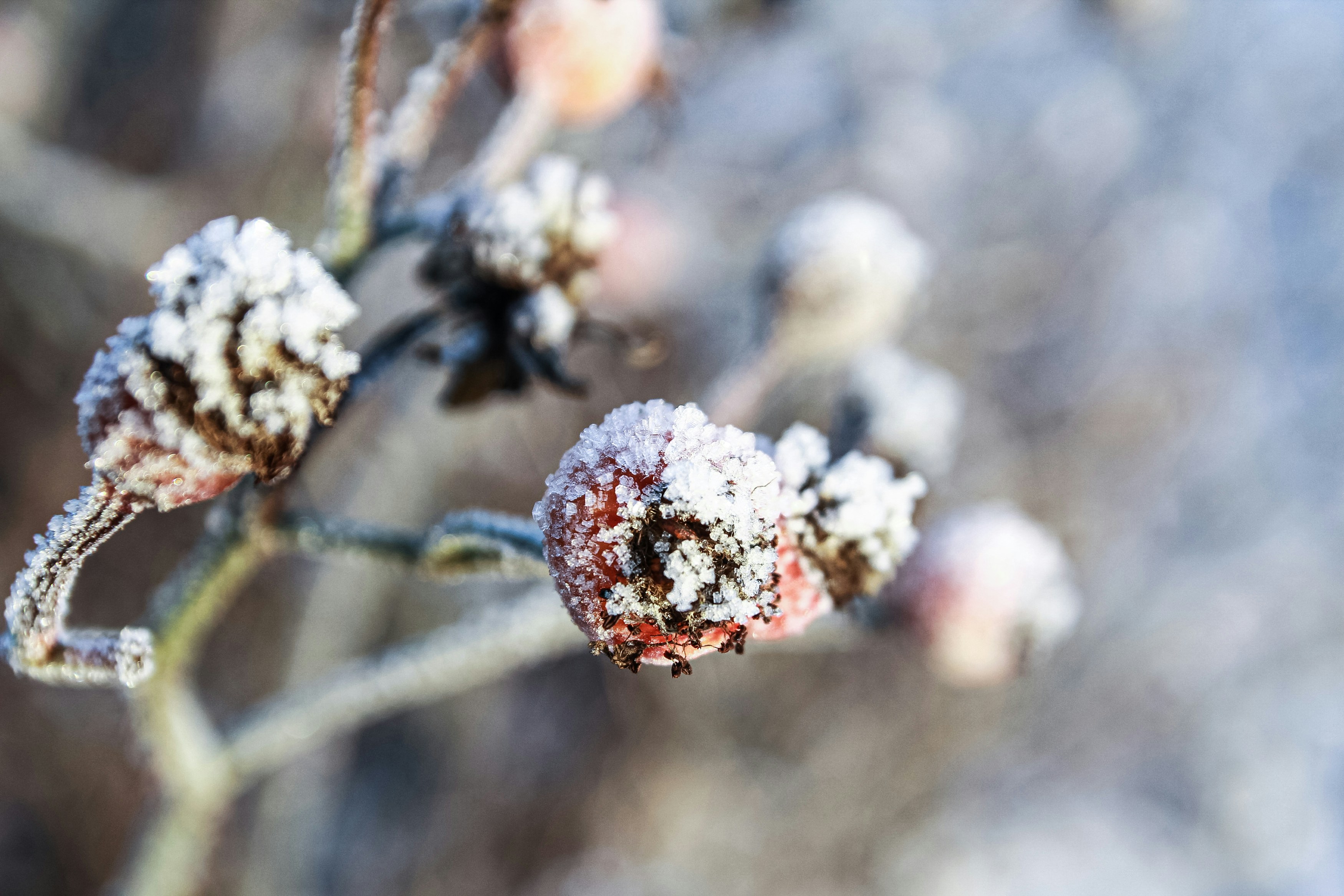 Photo by juliazolotova