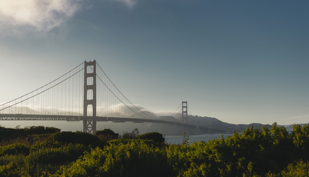 bridge and mountains