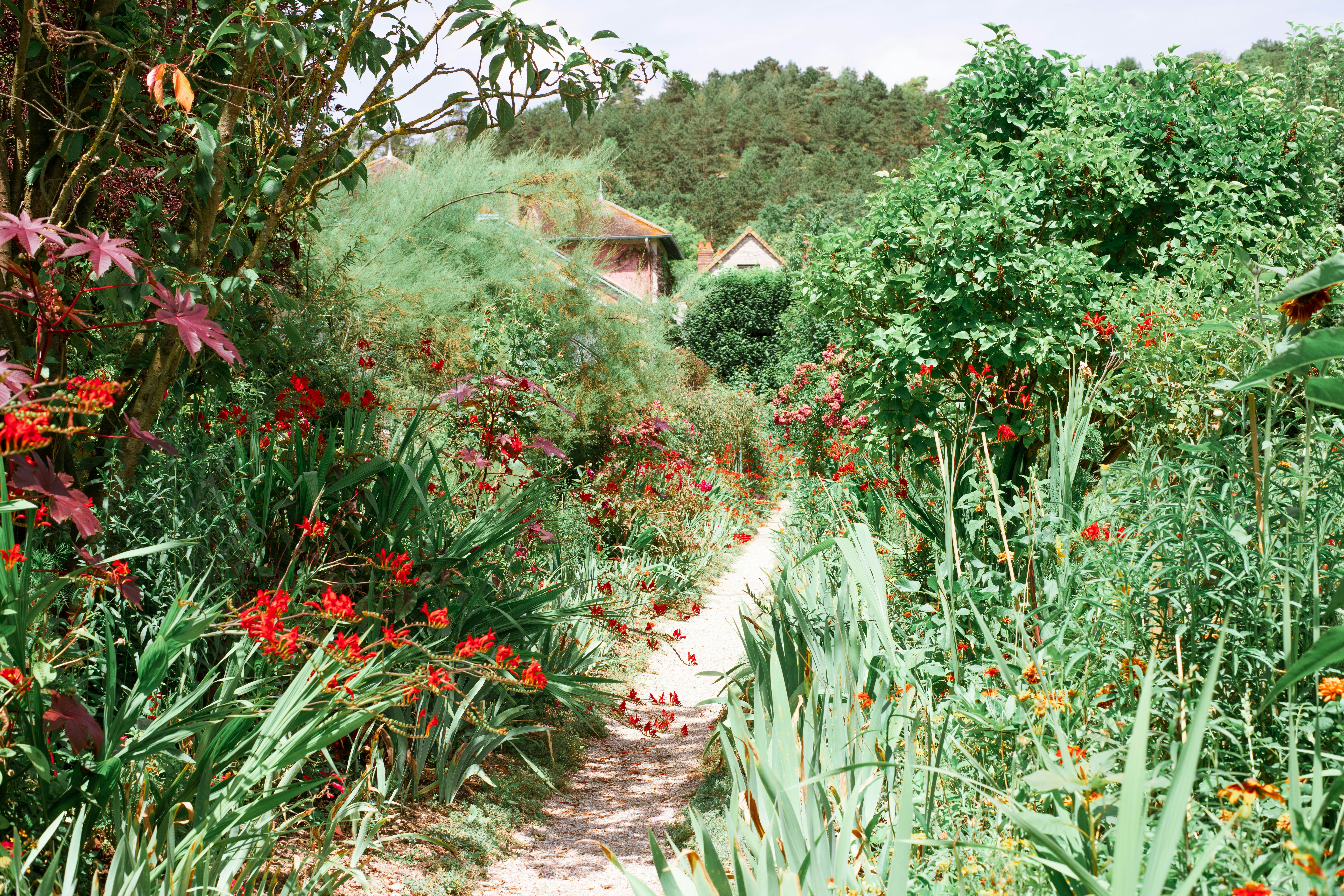 Photo by 2sometravel