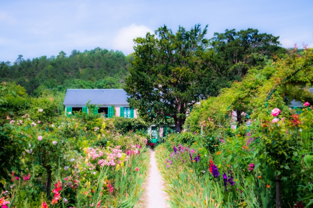 pathway with flowers