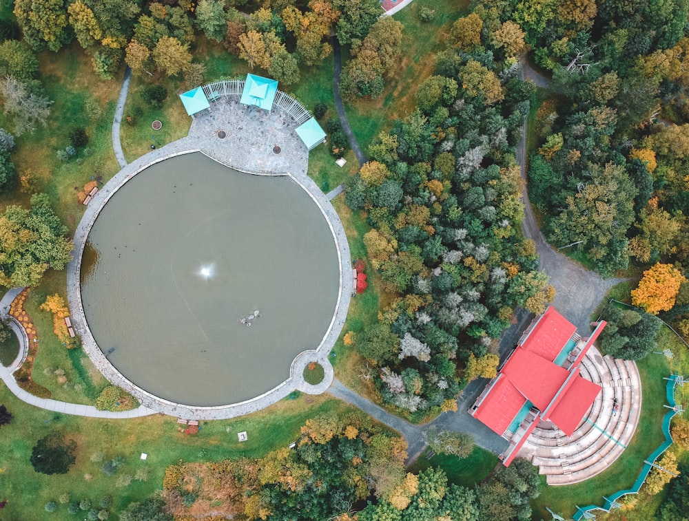 aerial photography of buildings surrounded by trees during daytime