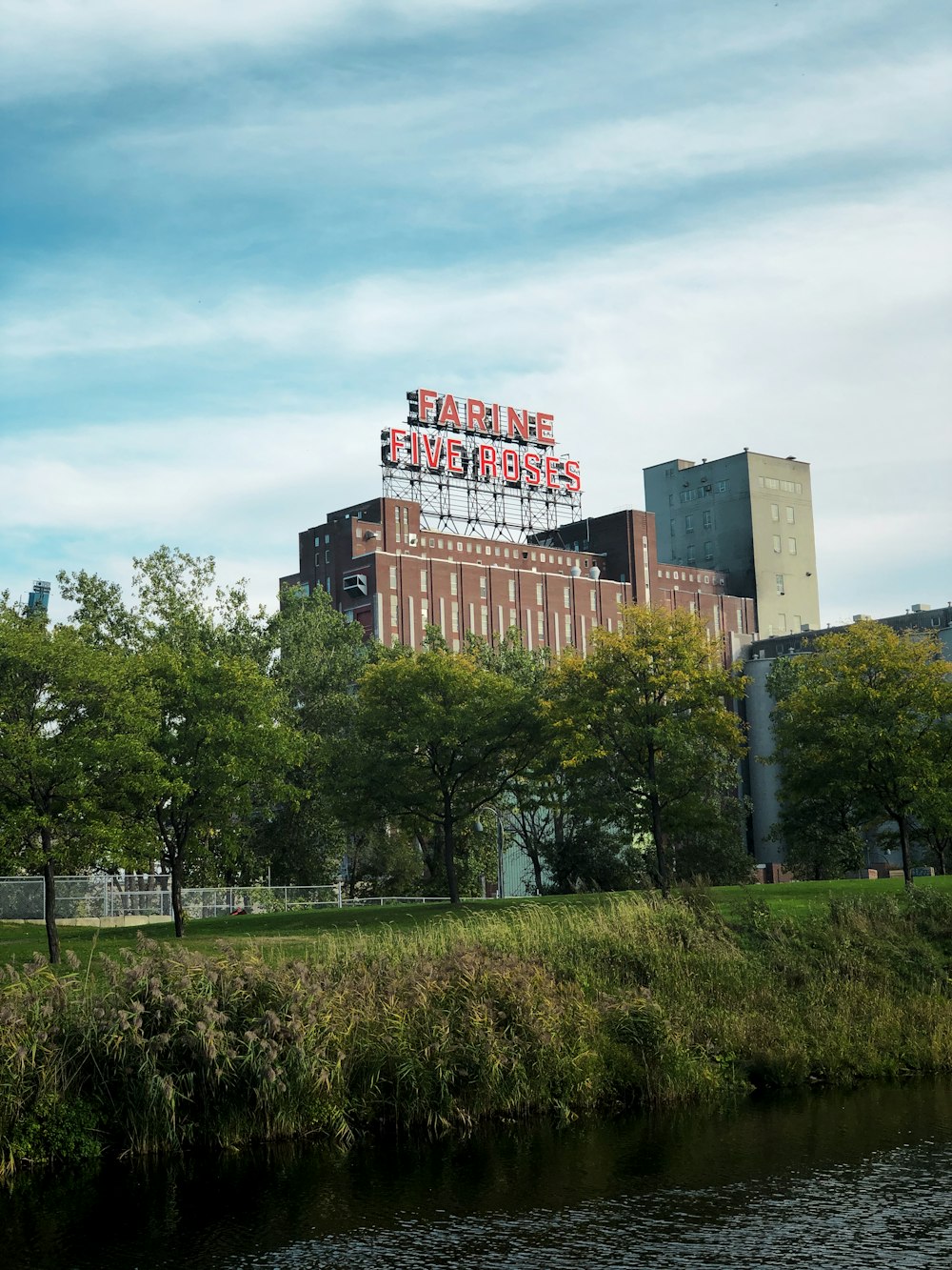 Herbe verte et arbres près du bâtiment pendant la journée