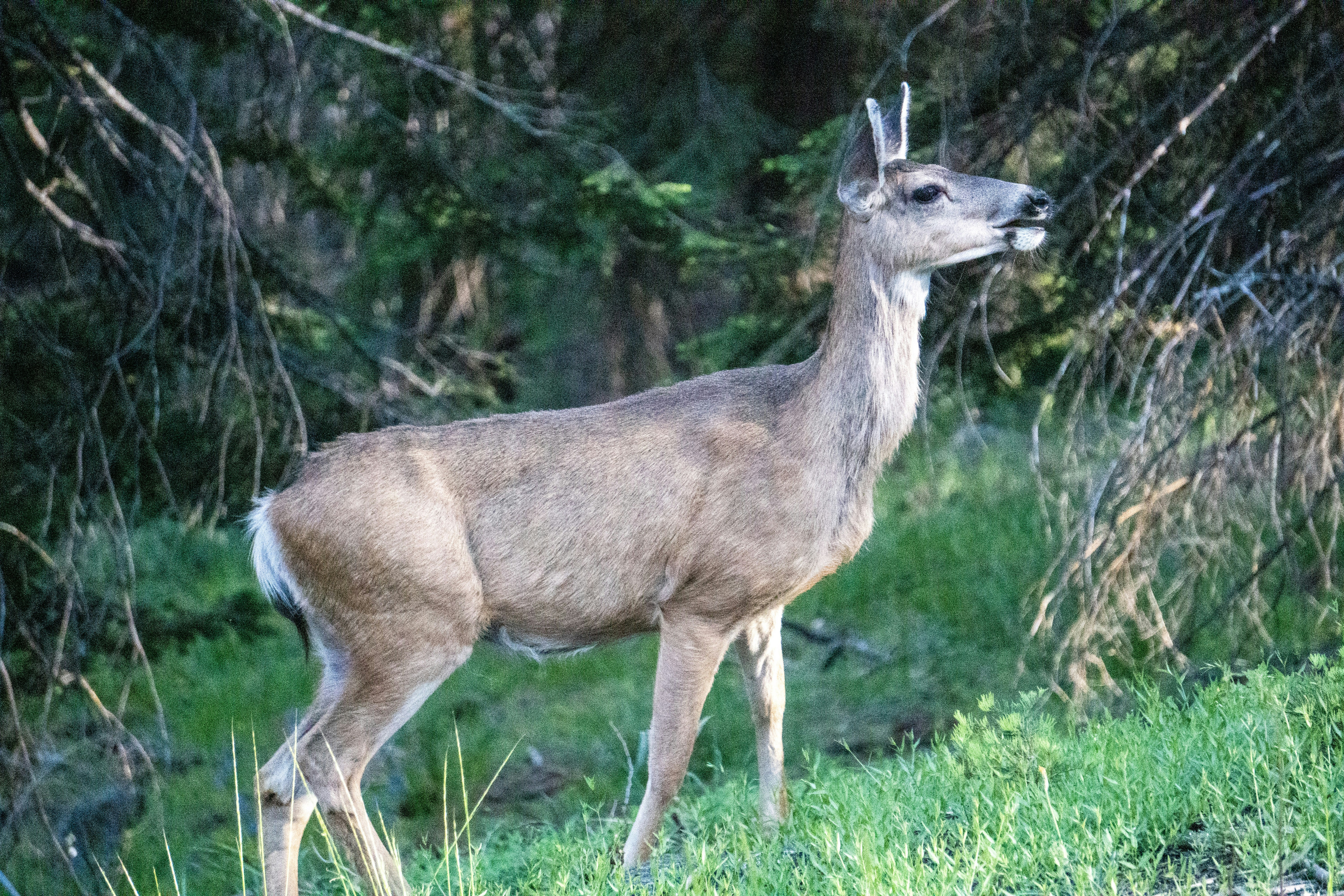 Photo by pmayorphotos