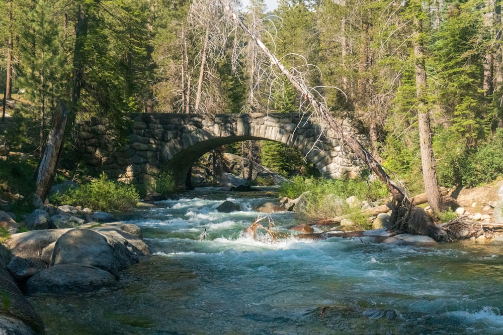 flowing creek near bridge