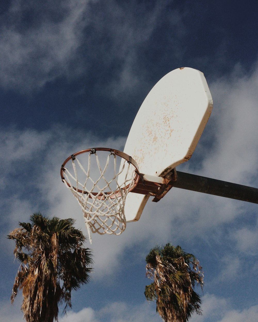 white basketball system across 2 palm trees