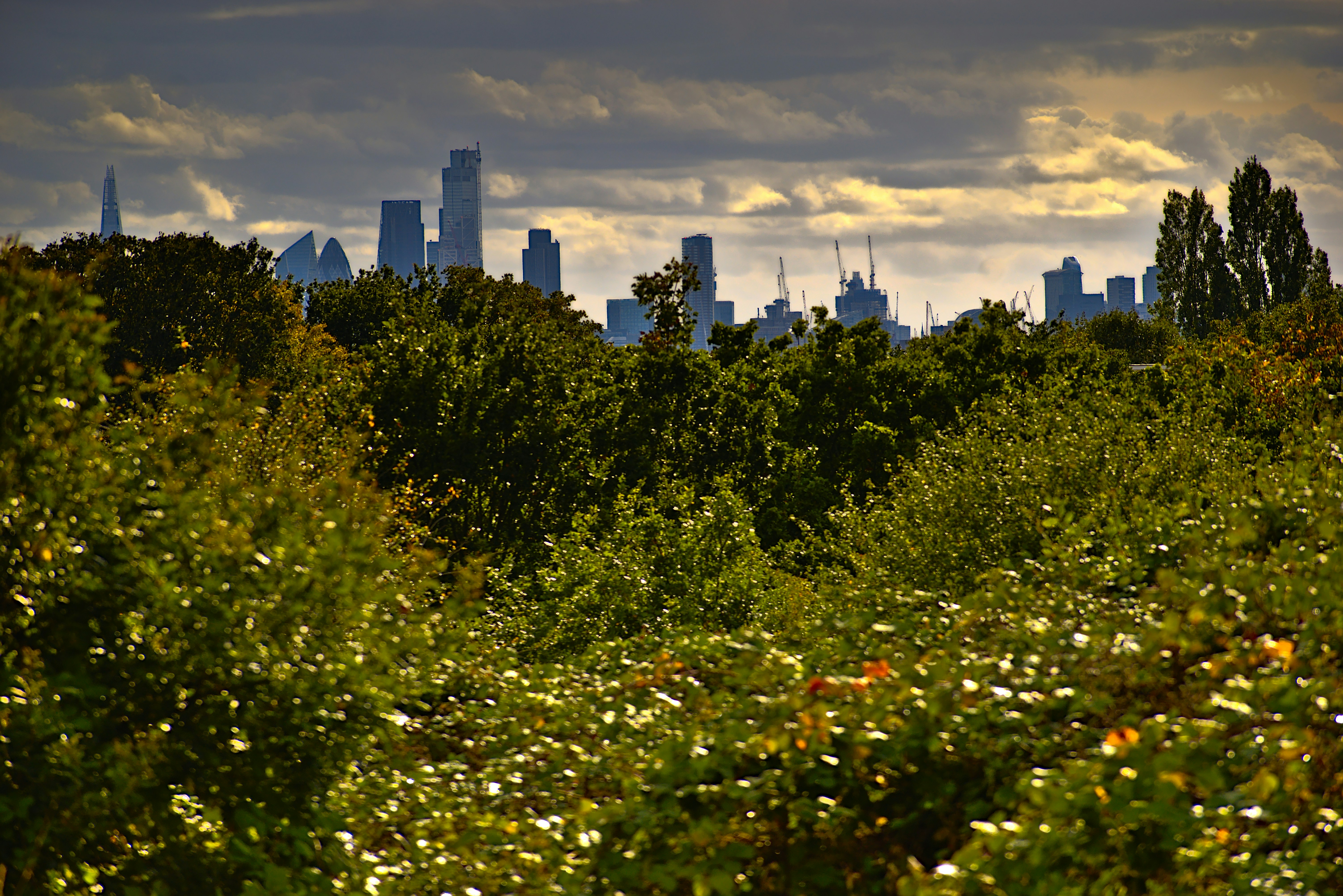 Containers in Forrest City, AR