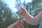 A close-up of hands holding a small plant, representing sustainable family growth.
