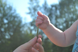 A close-up of hands holding a small plant, representing sustainable family growth.