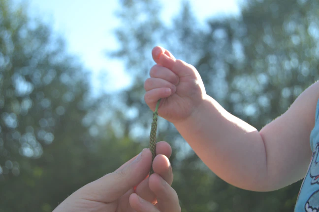 A close-up of hands planting a tree together, symbolizing growth and hope for the future