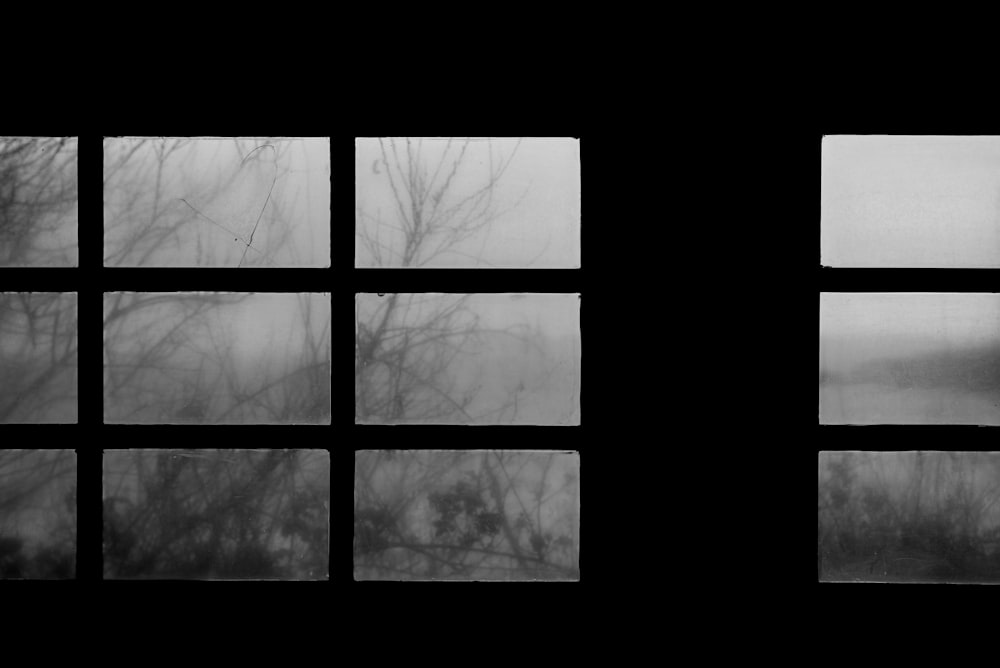 a black and white photo of a tree outside a window