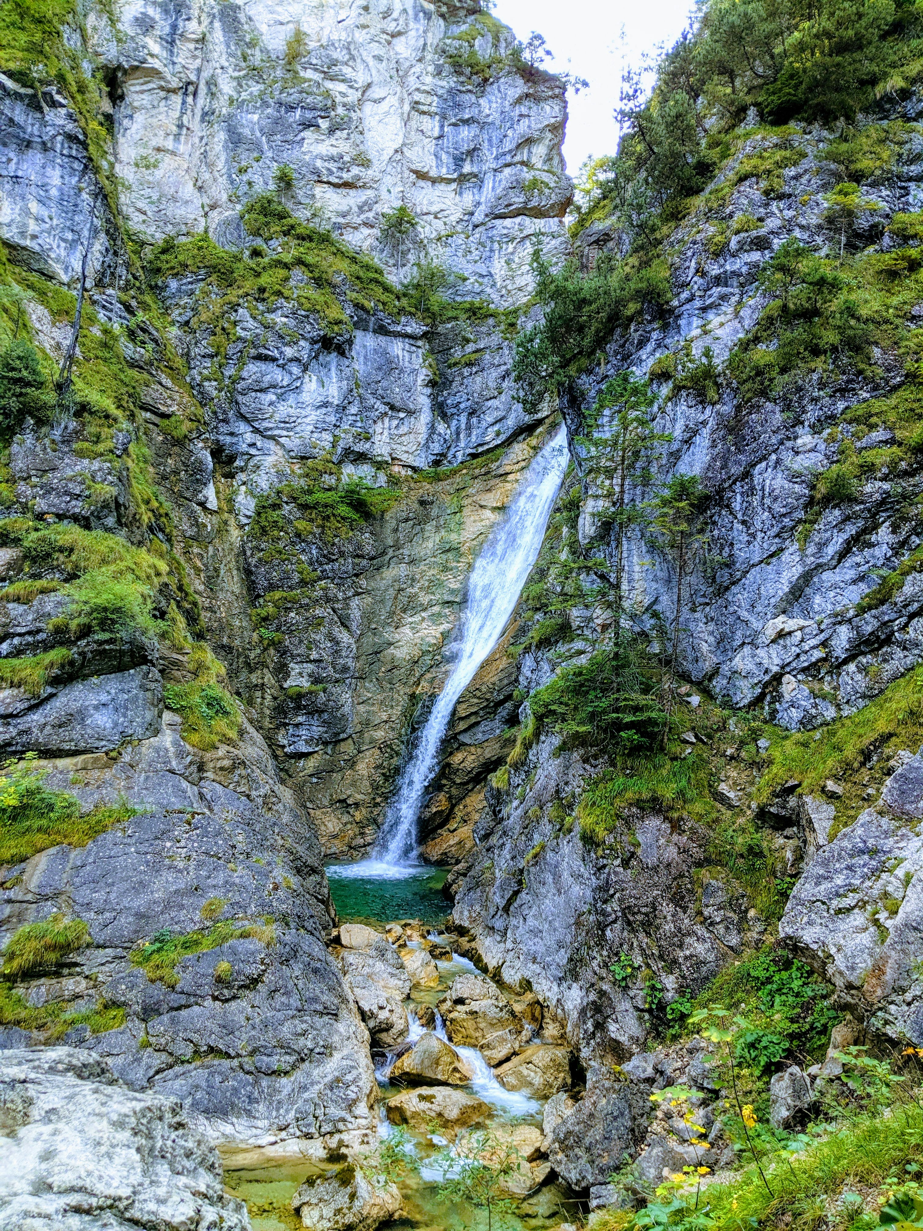 Photo by bearsfan68