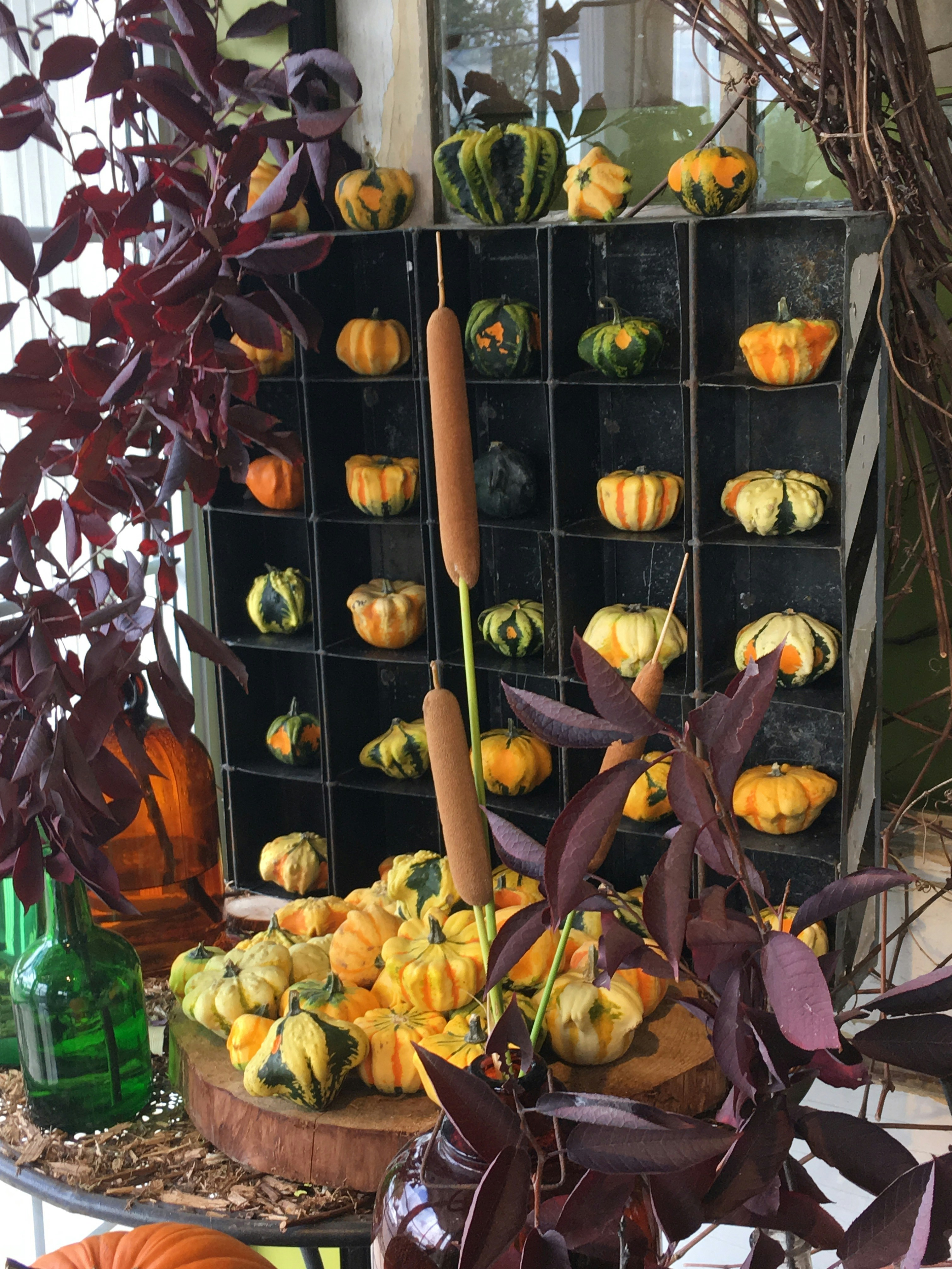 Les fruits et les légumes de septembre