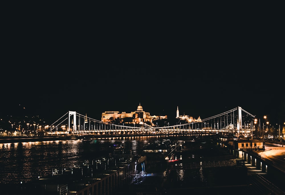 lighted bridge and buildings during nighttime