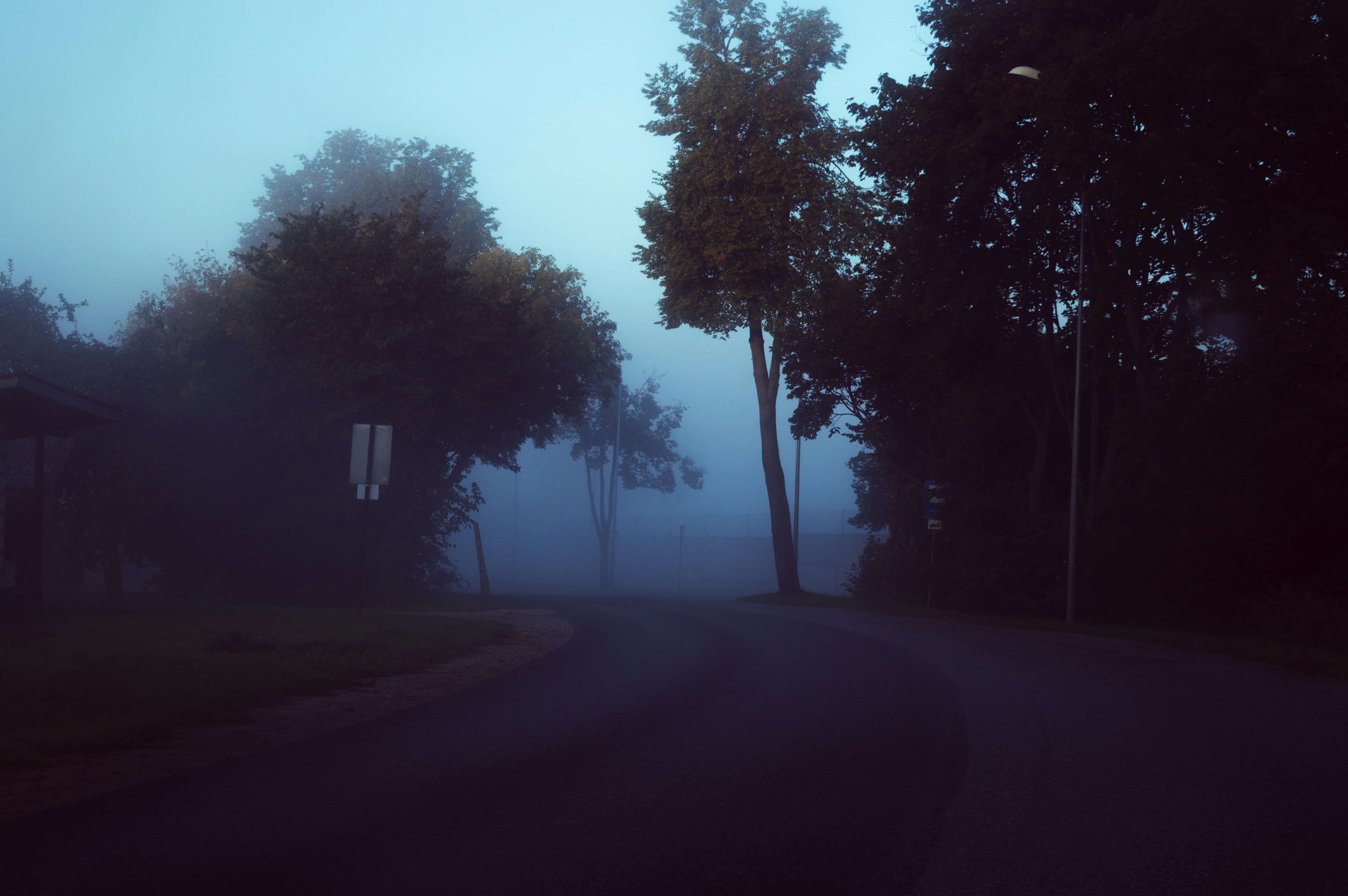 Photo by mavredium