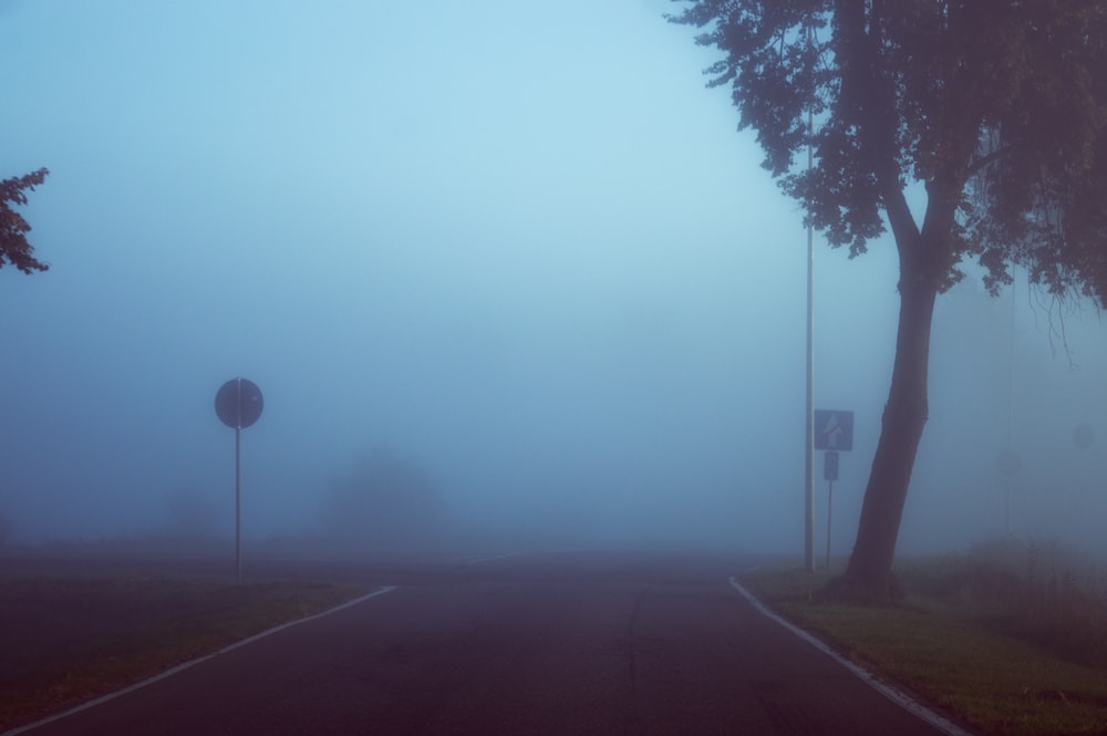 a foggy road with trees and street signs