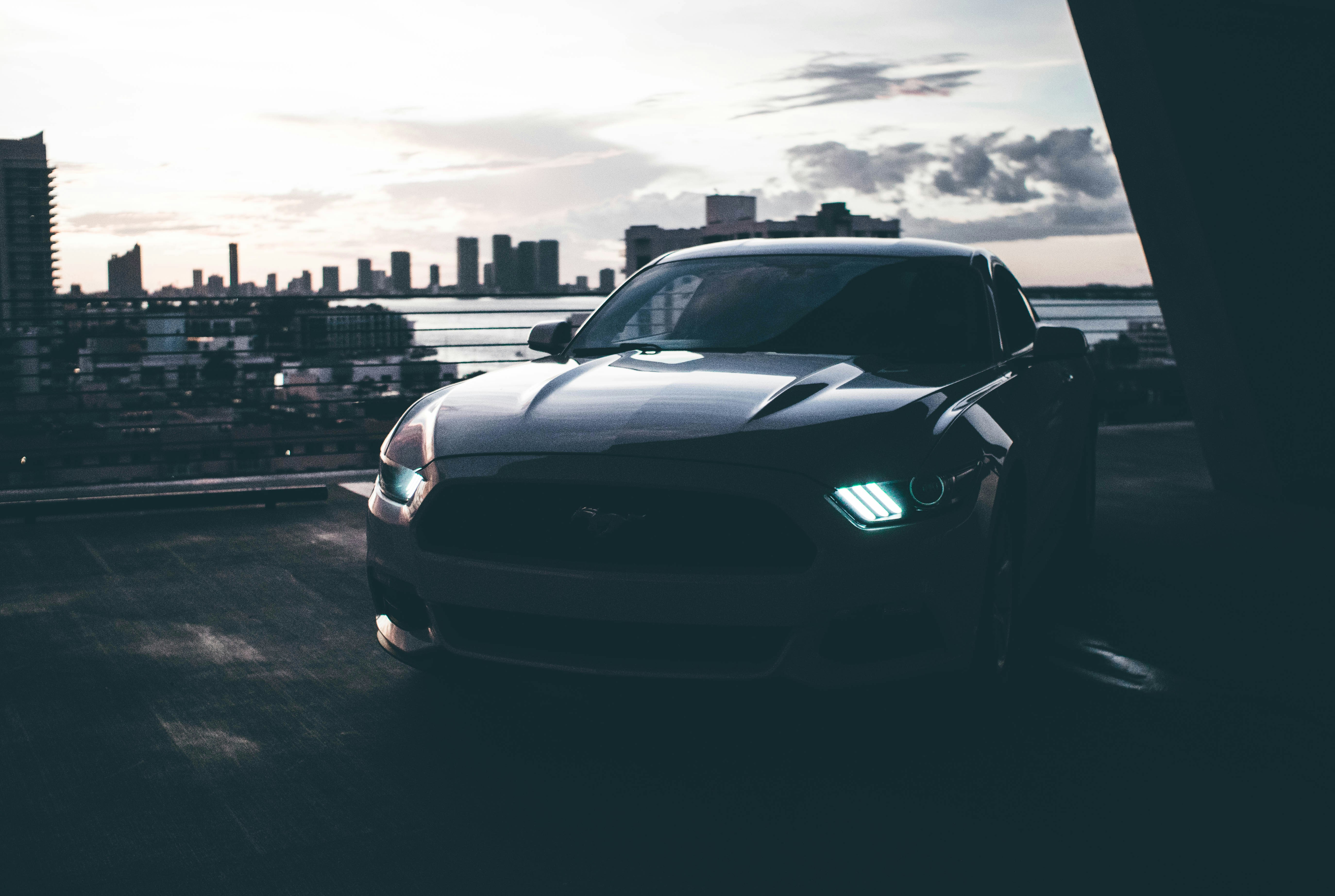 Photo by andredantan19