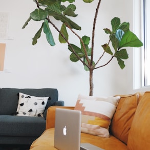 a laptop computer sitting on top of a couch