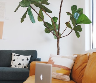 a laptop computer sitting on top of a couch