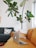 A cozy living room featuring eco-friendly decor and smart home gadgets.