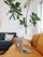 A cozy modern living room featuring a sleek sofa bed with soft turquoise accents and natural light.