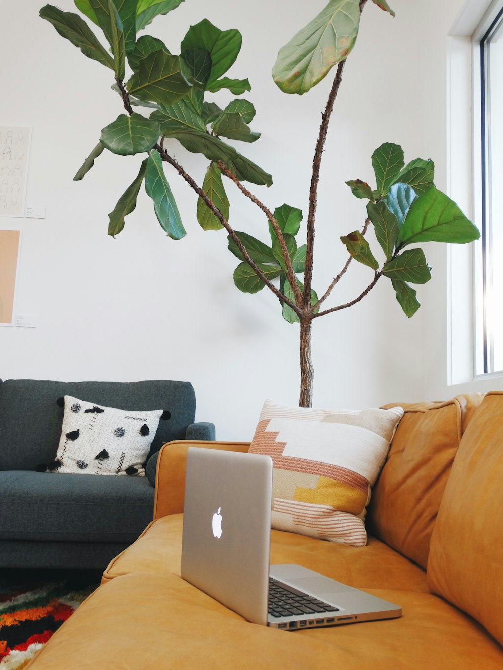 a laptop computer sitting on top of a couch