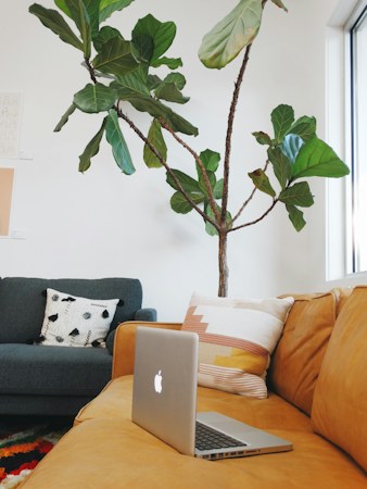 A cozy living room with a modern setup featuring a tan leather couch, a blue sofa adorned with a white pillow with black patterns, and a green leafy indoor plant reaching upwards. There is a silver laptop with an illuminated logo on the tan couch. Natural light enters through a nearby window, creating a calm and inviting atmosphere.