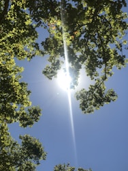 Manifesting Lurve: Uplifting Souls Through Dance