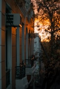 Historic city street with colonial buildings bathed in warm sunset light.