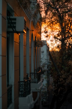 Historic city street with colonial buildings bathed in warm sunset light.
