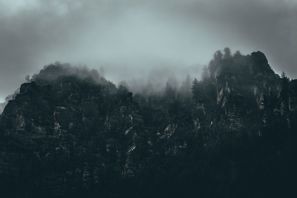 Photo en niveaux de gris de montagnes