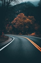 concrete road near trees during day