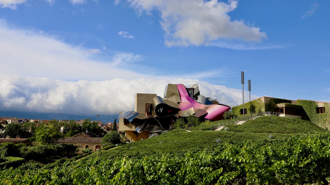 Hill station photo spot Marques de Riscal Hiribidea Basque Country