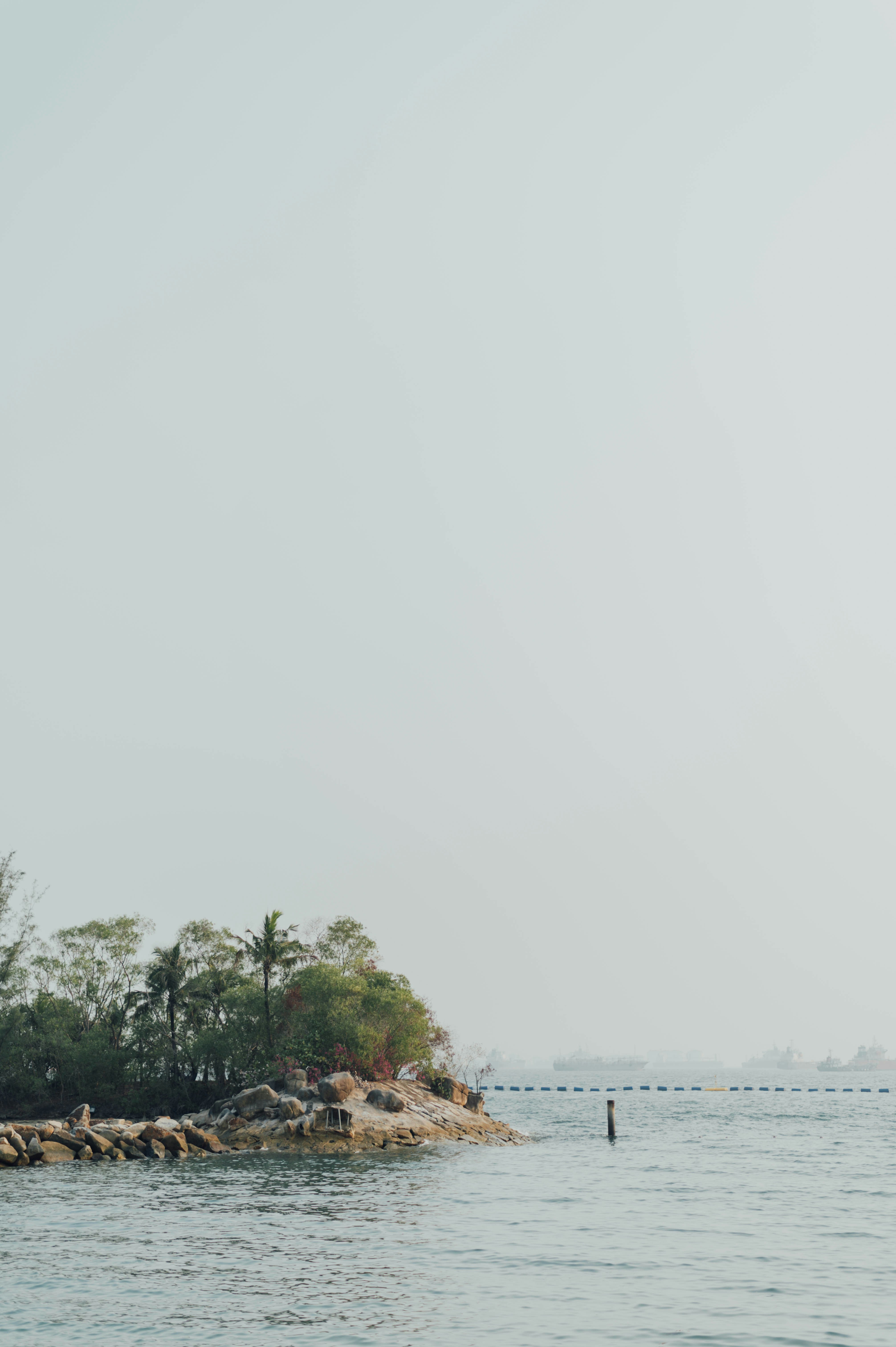 Photo by chuttersnap