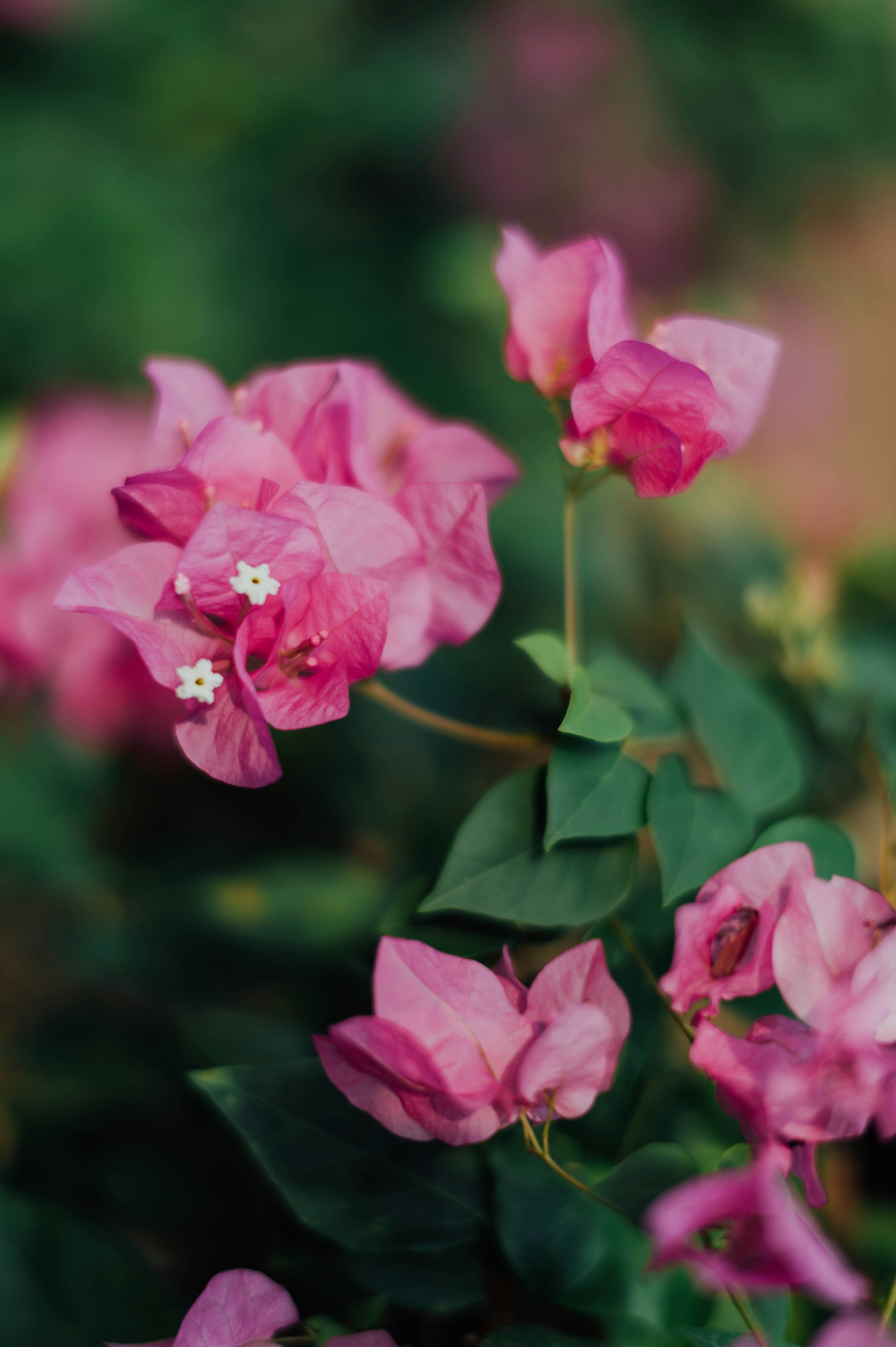 Photo by chuttersnap