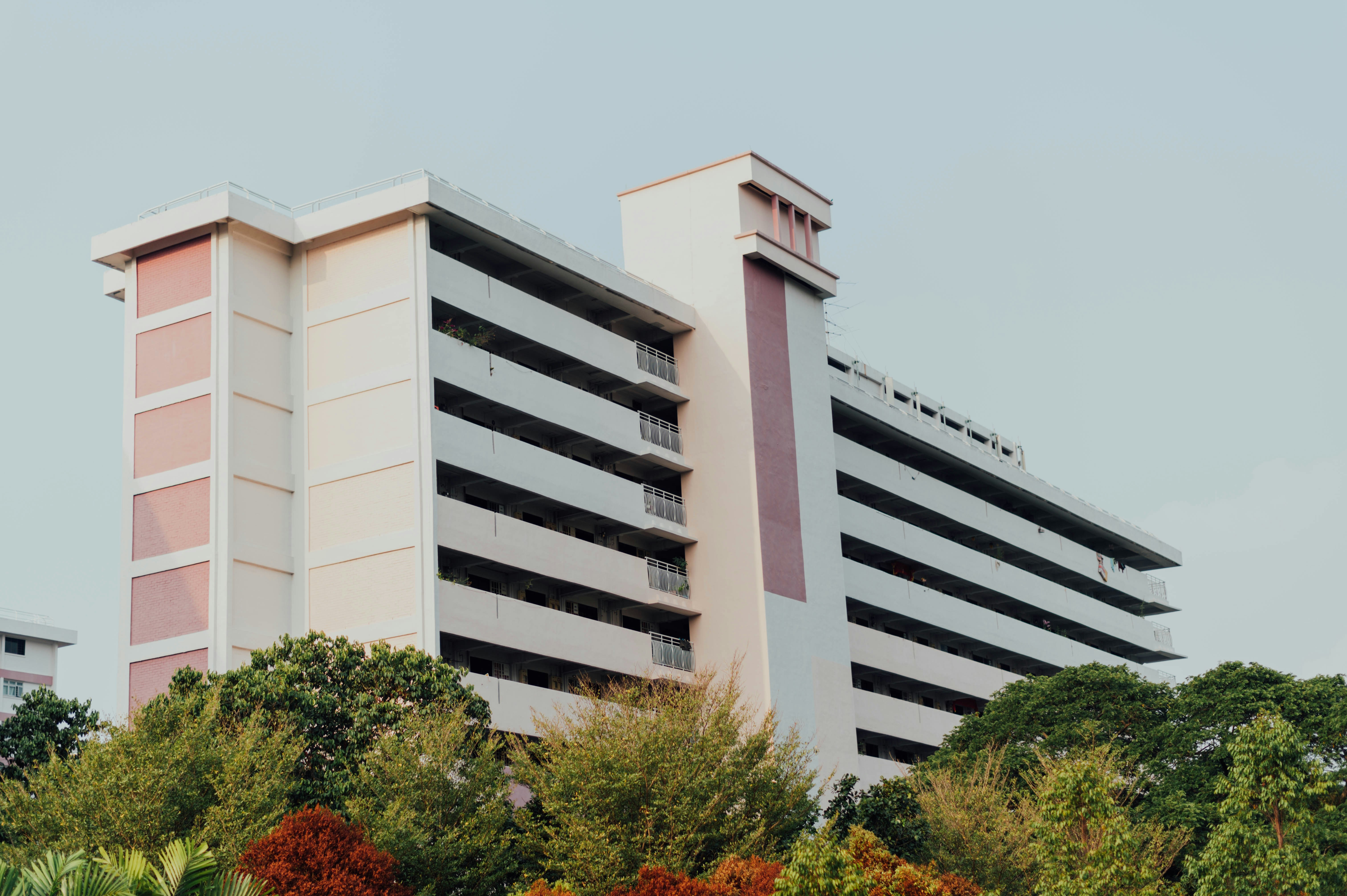 Photo by chuttersnap