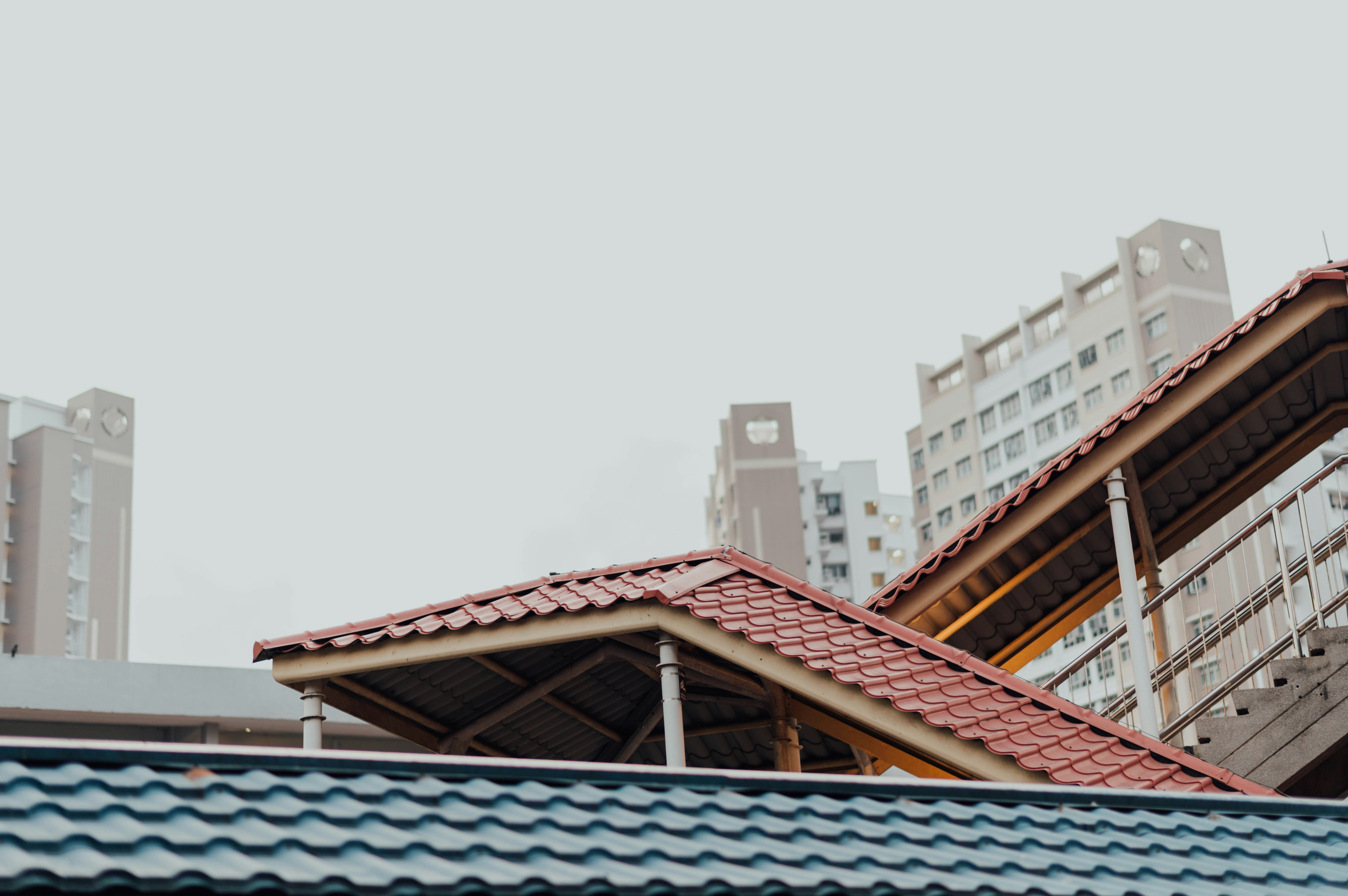 Photo by chuttersnap