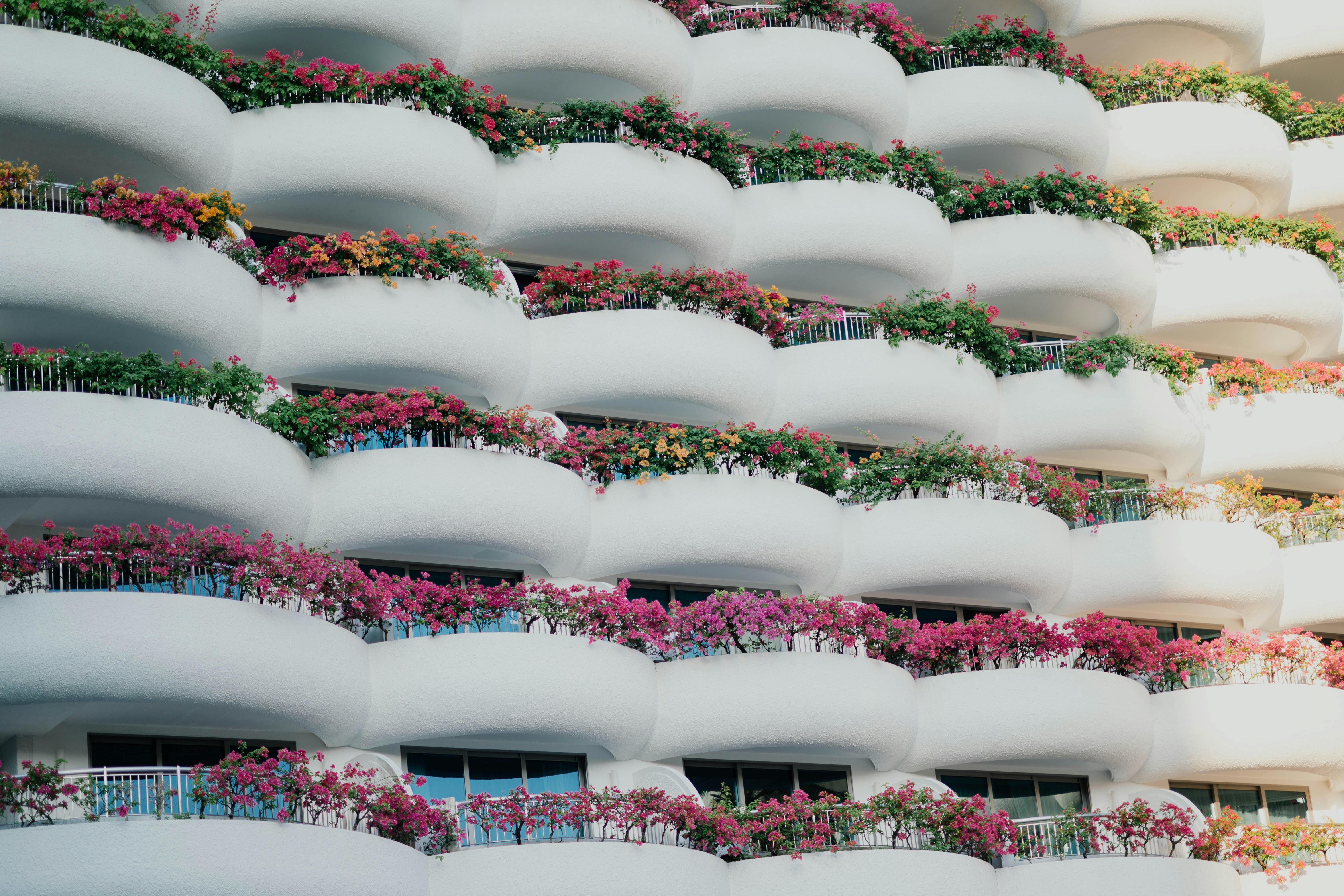 White building with balconies and plants - null wallpaper in 6036x4024 resolution