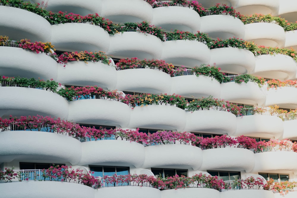 Bâtiment blanc avec balcons et plantes