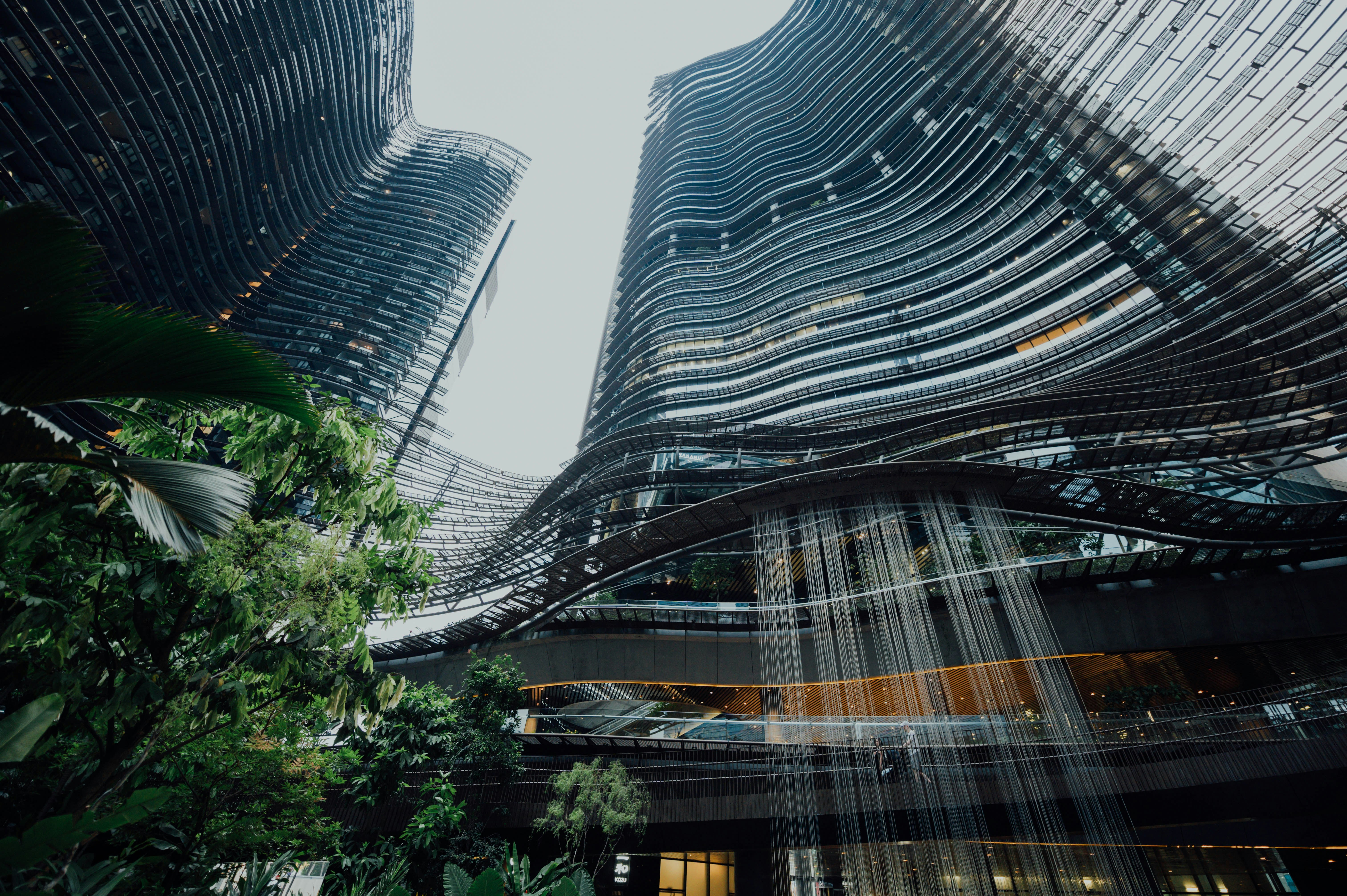 Photo by chuttersnap