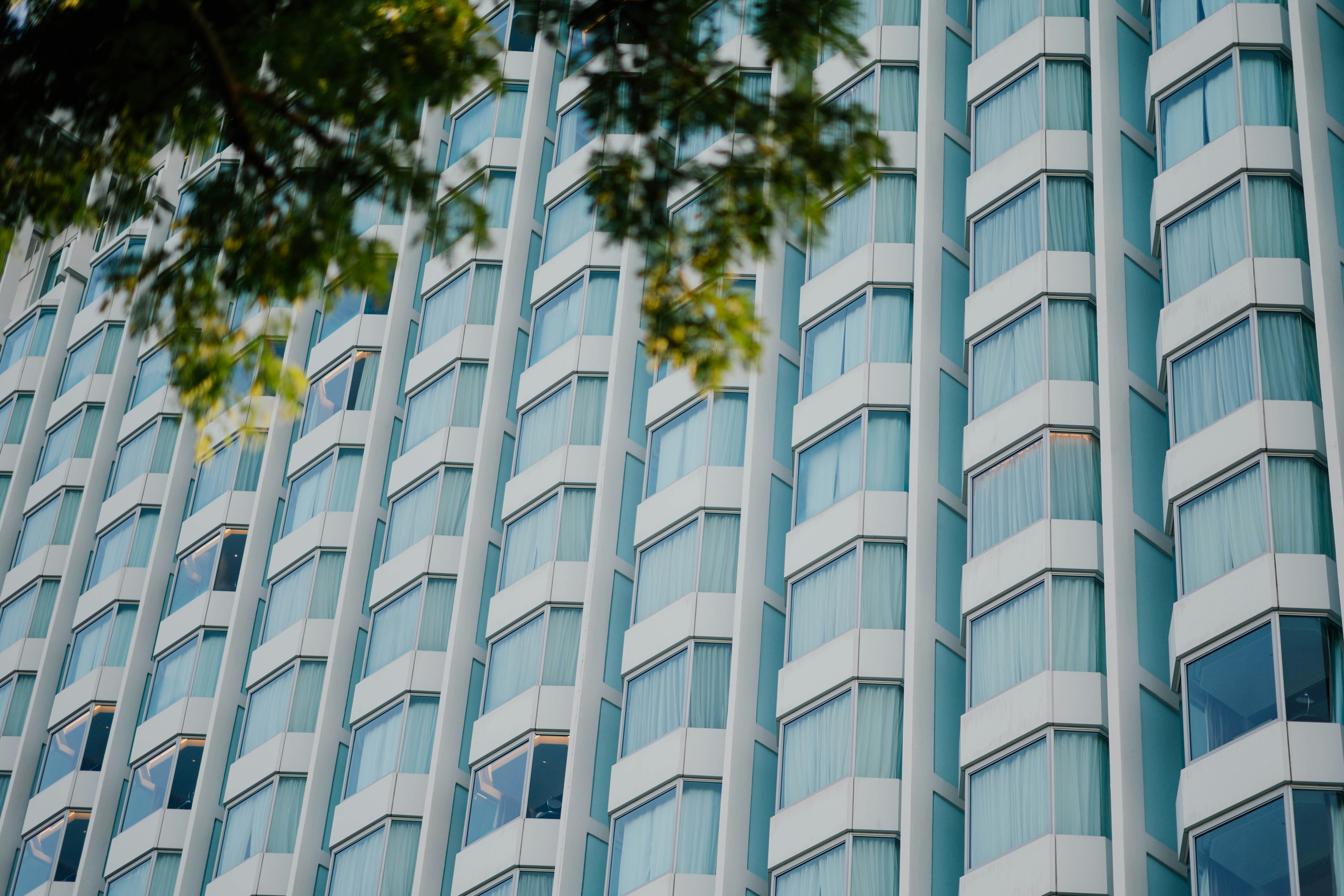 Photo by chuttersnap