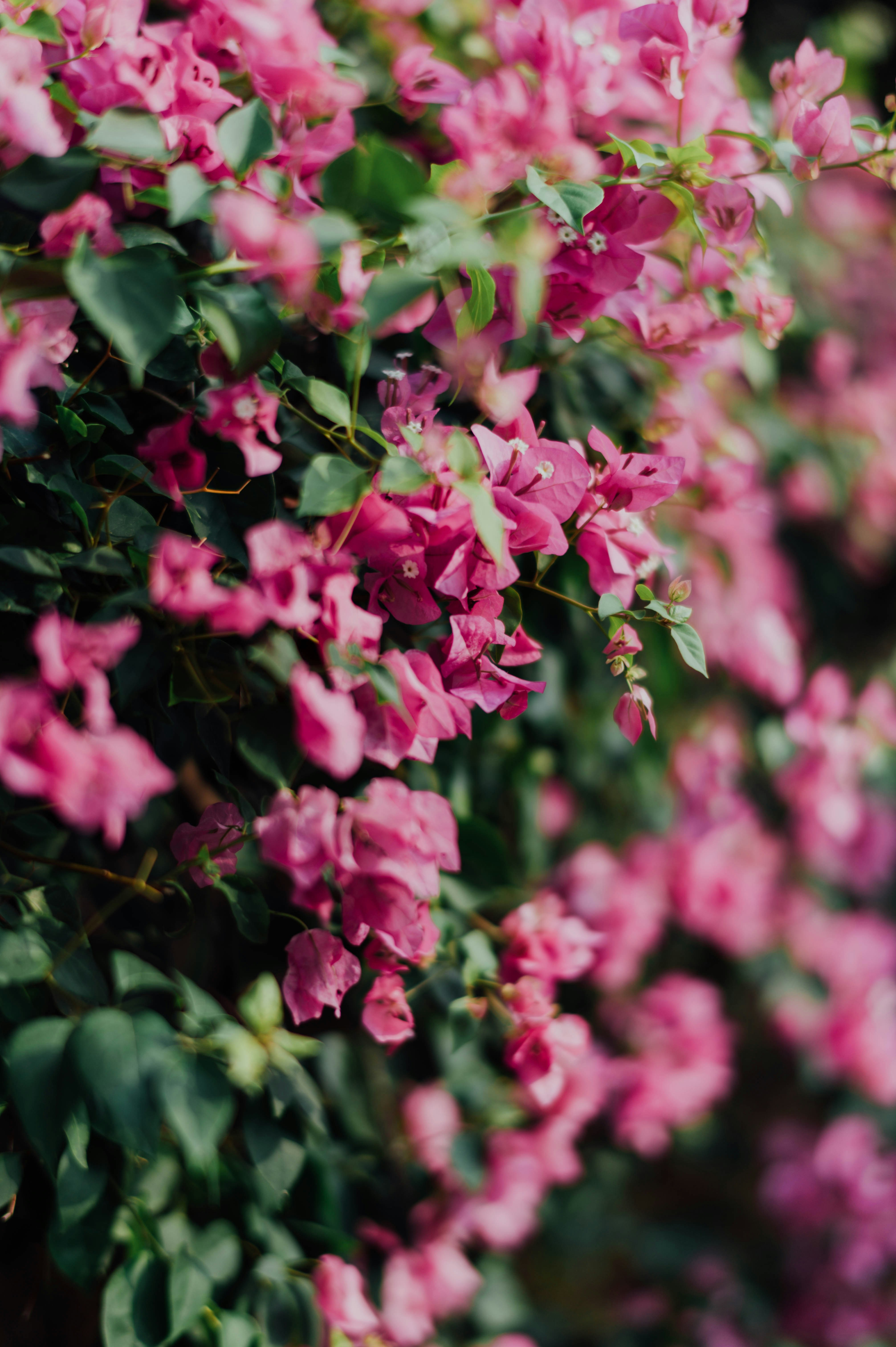 Photo by chuttersnap