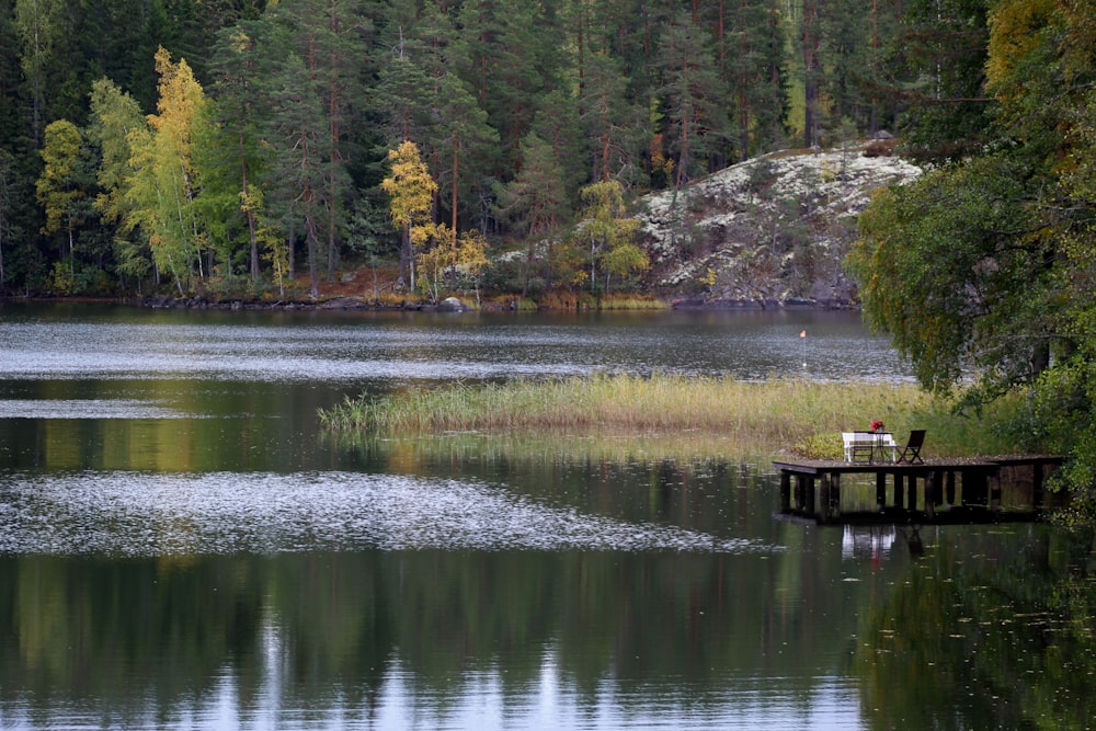 body of water during daytime