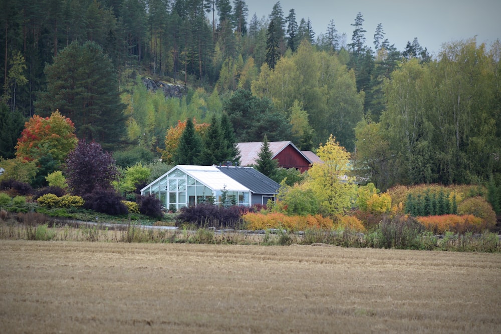 white and black house